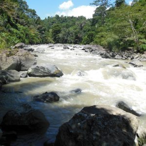 Batang Gadis hydropower project in Sumatra — 17.1 MW